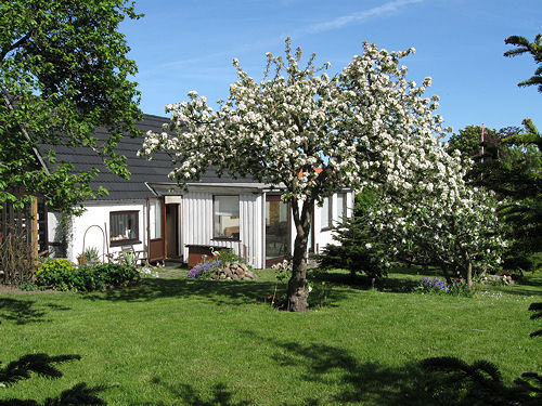 haven 2 2009