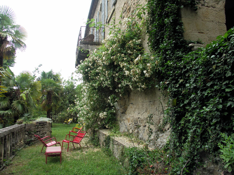 roses on the wall