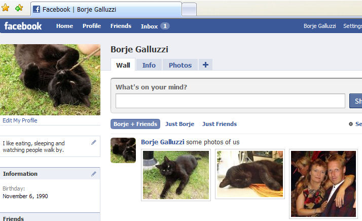 Borje facebook profile