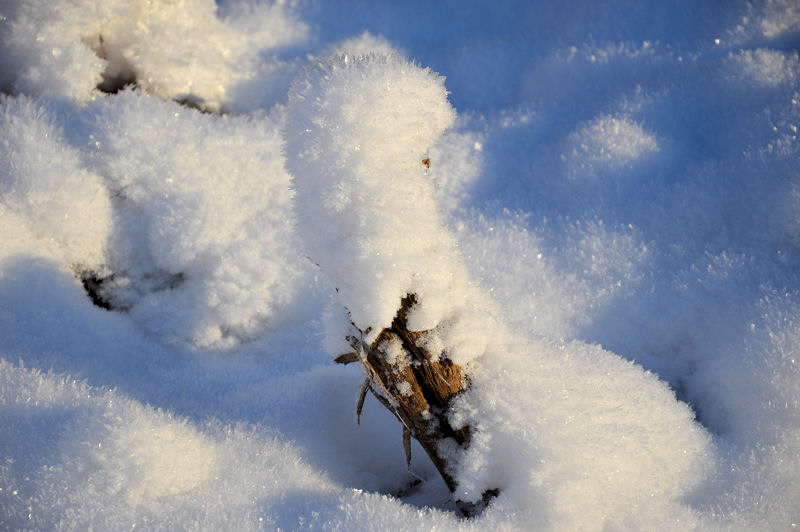 December 2012 New Nikon 041 snow