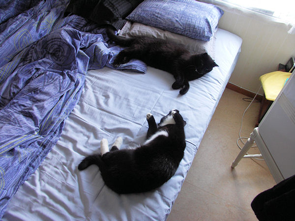 Doris and Svante in bed autumn 2012