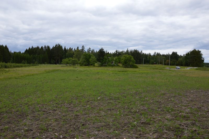 June 2014 136 view helga field