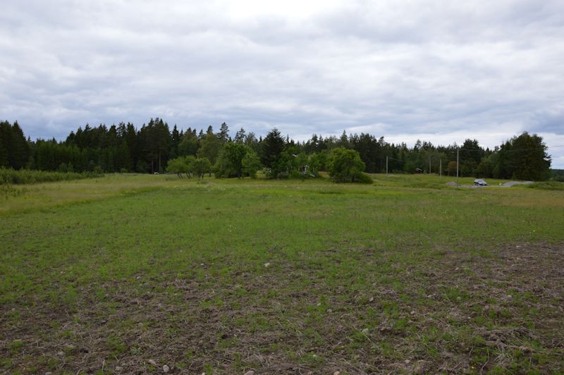 June 2014 136 view helga field