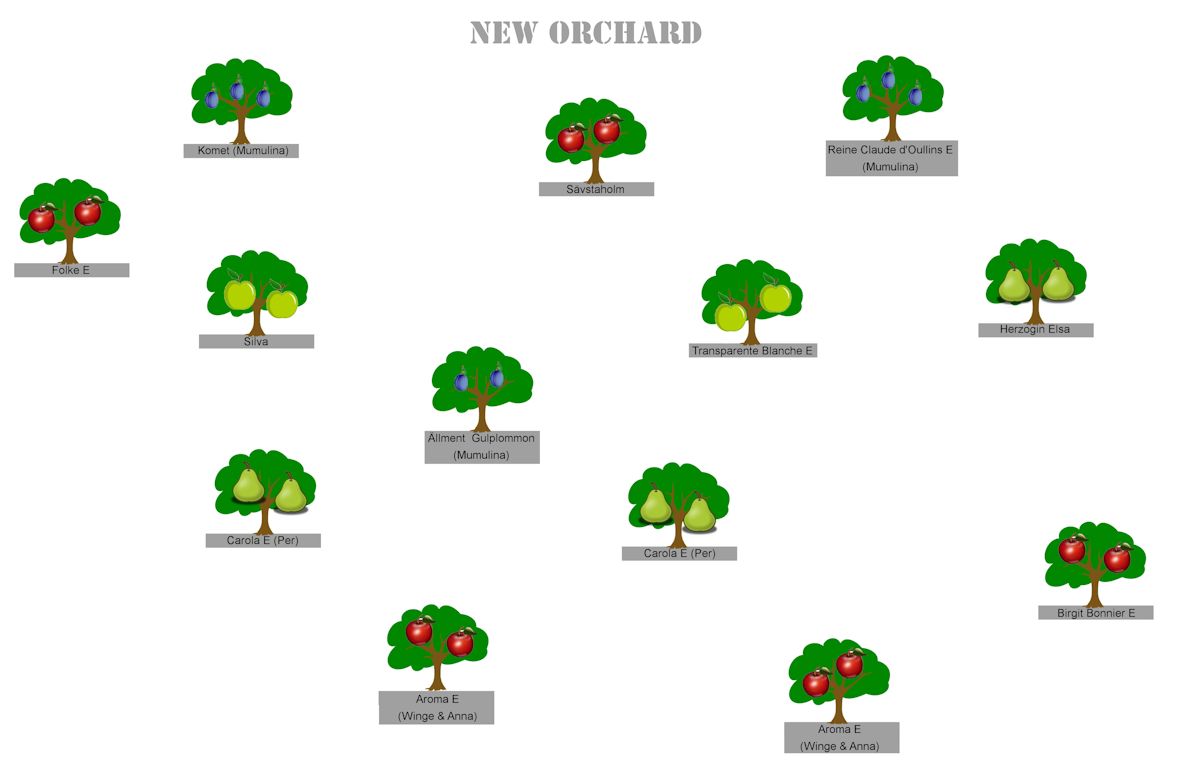 New Orchard