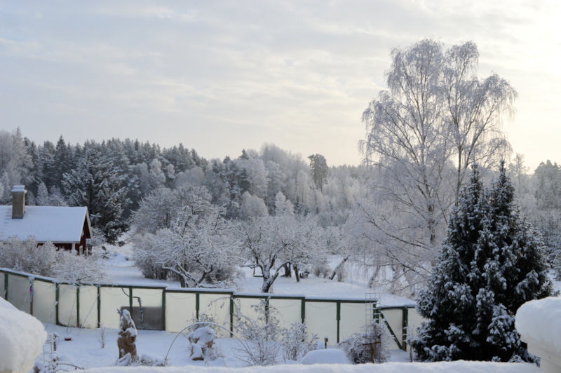 Balcony jan 2019 800