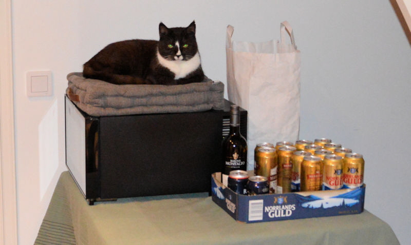 Guardian of the beer fridge 800