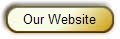 Our Website