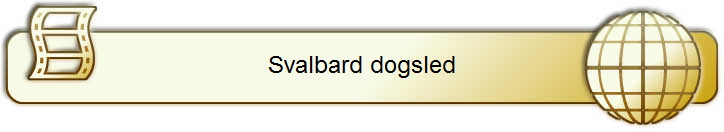 Svalbard dogsled