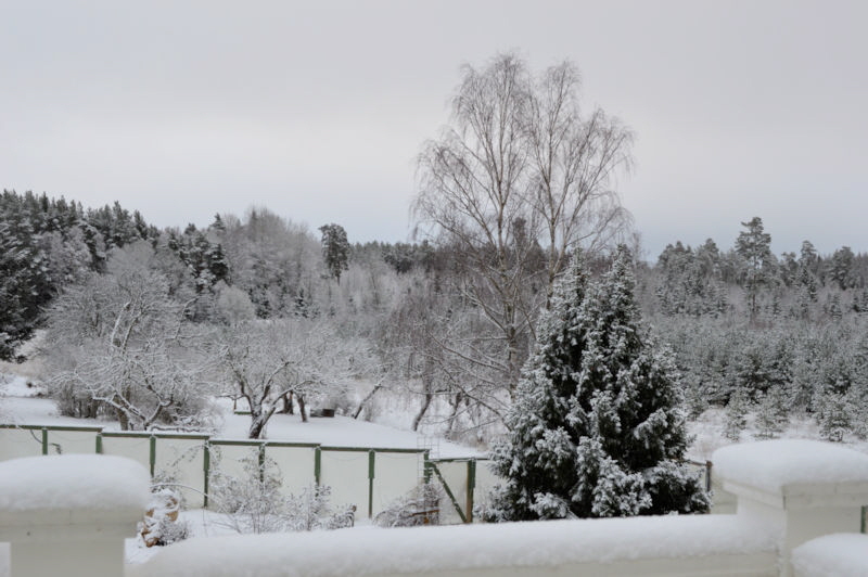 balcony view wintry wonderland 800