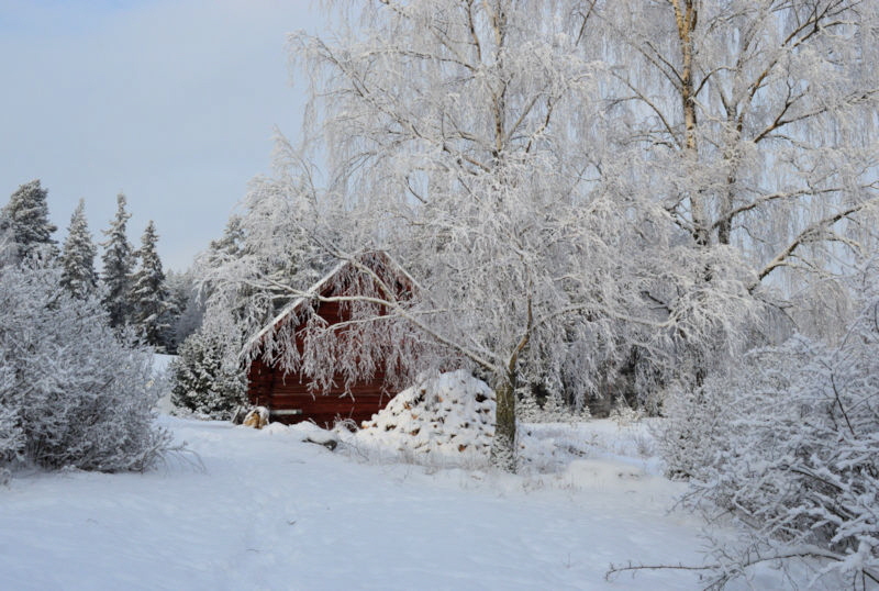 it snowed today 800