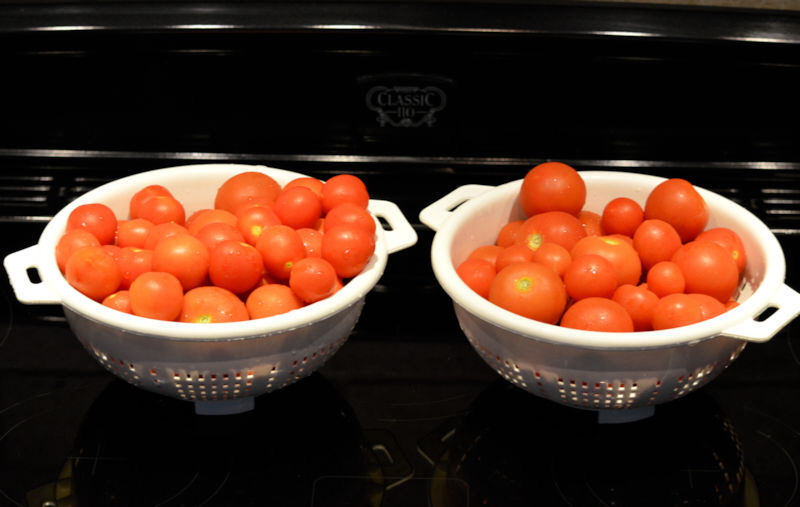 tomatoes august 2018 800