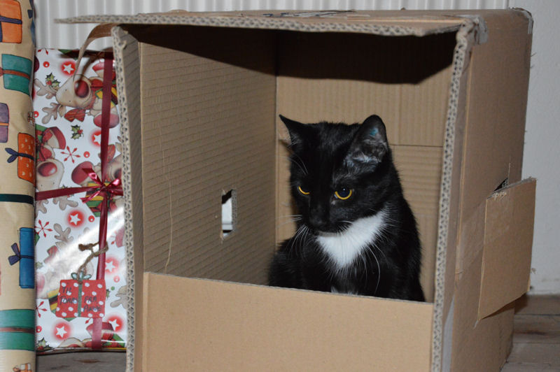 december 2012 Doris in a box