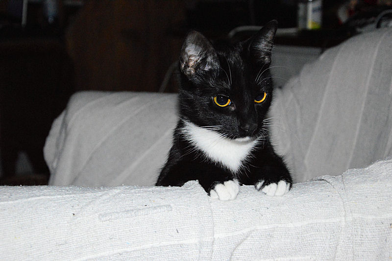 december 2012 Doris watching from chair