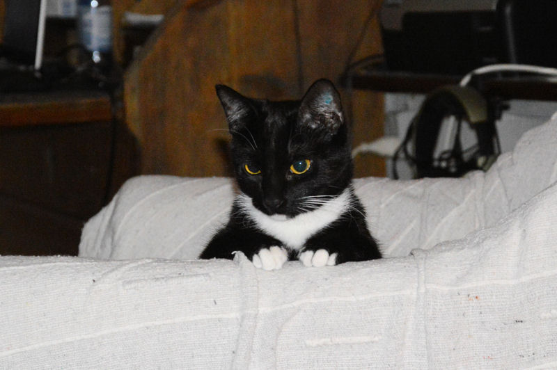 december 2012 Doris watching from chair 4