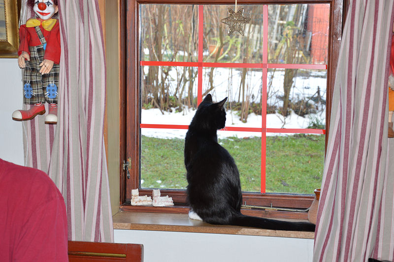 december 2012 Doris watching from window