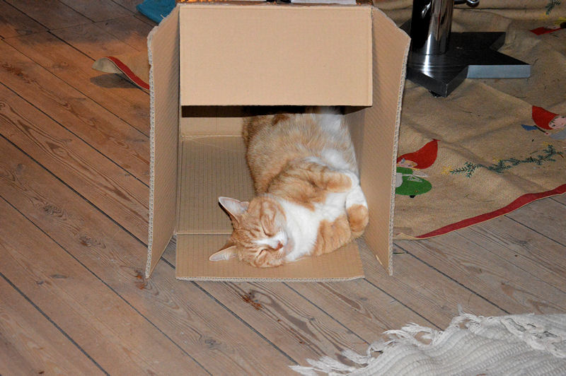 december 2012 Louis in a box