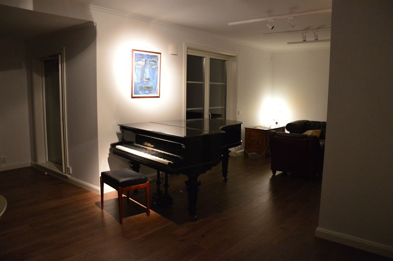 grand piano sep 2015 002