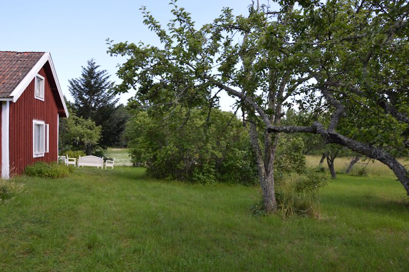 july 2014 186 view house orchard