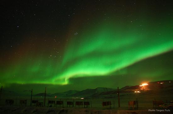 svalbard aurora we would have liked to see